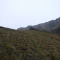 Haraska 01/12/2018