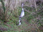 crue_de_la_Nive_fev_2009_017