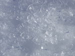 20110206_Okabe__16_