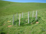 EL_Mai_2009_004