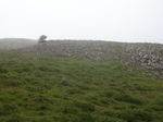 DSCN4077